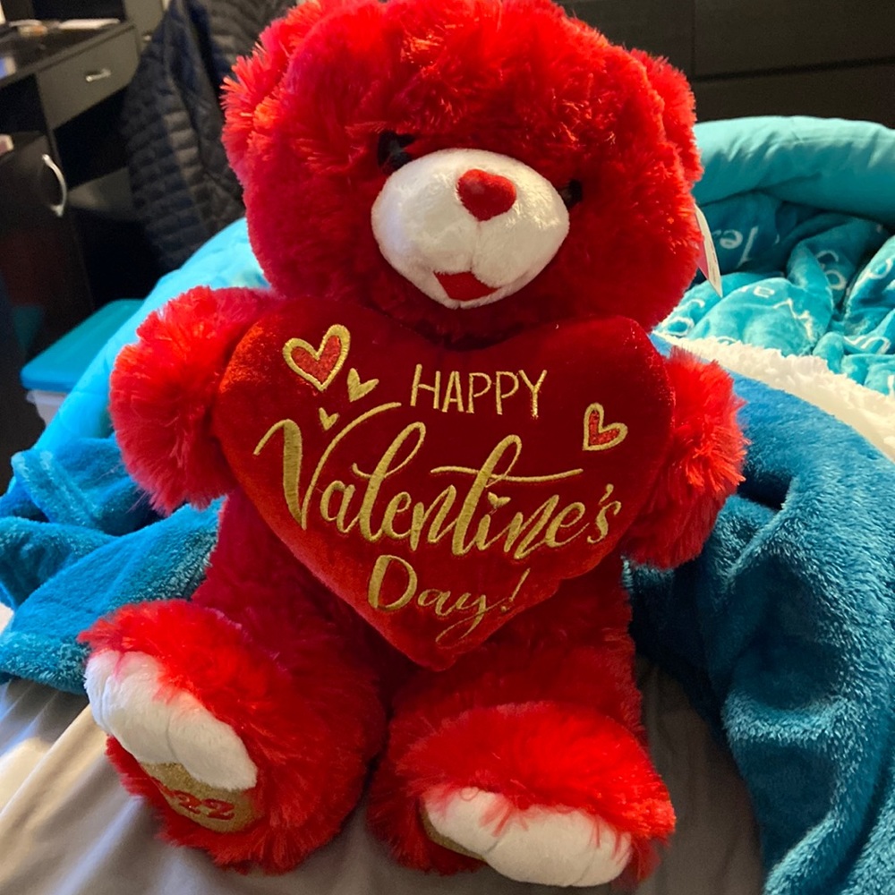 Valentine’s Day bear